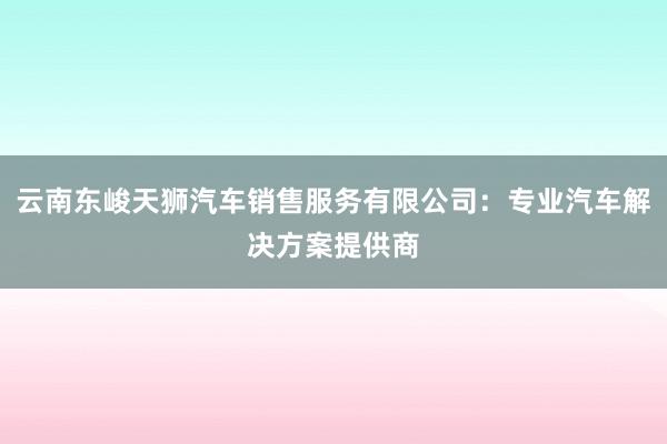 云南东峻天狮汽车销售服务有限公司：专业汽车解决方案提供商